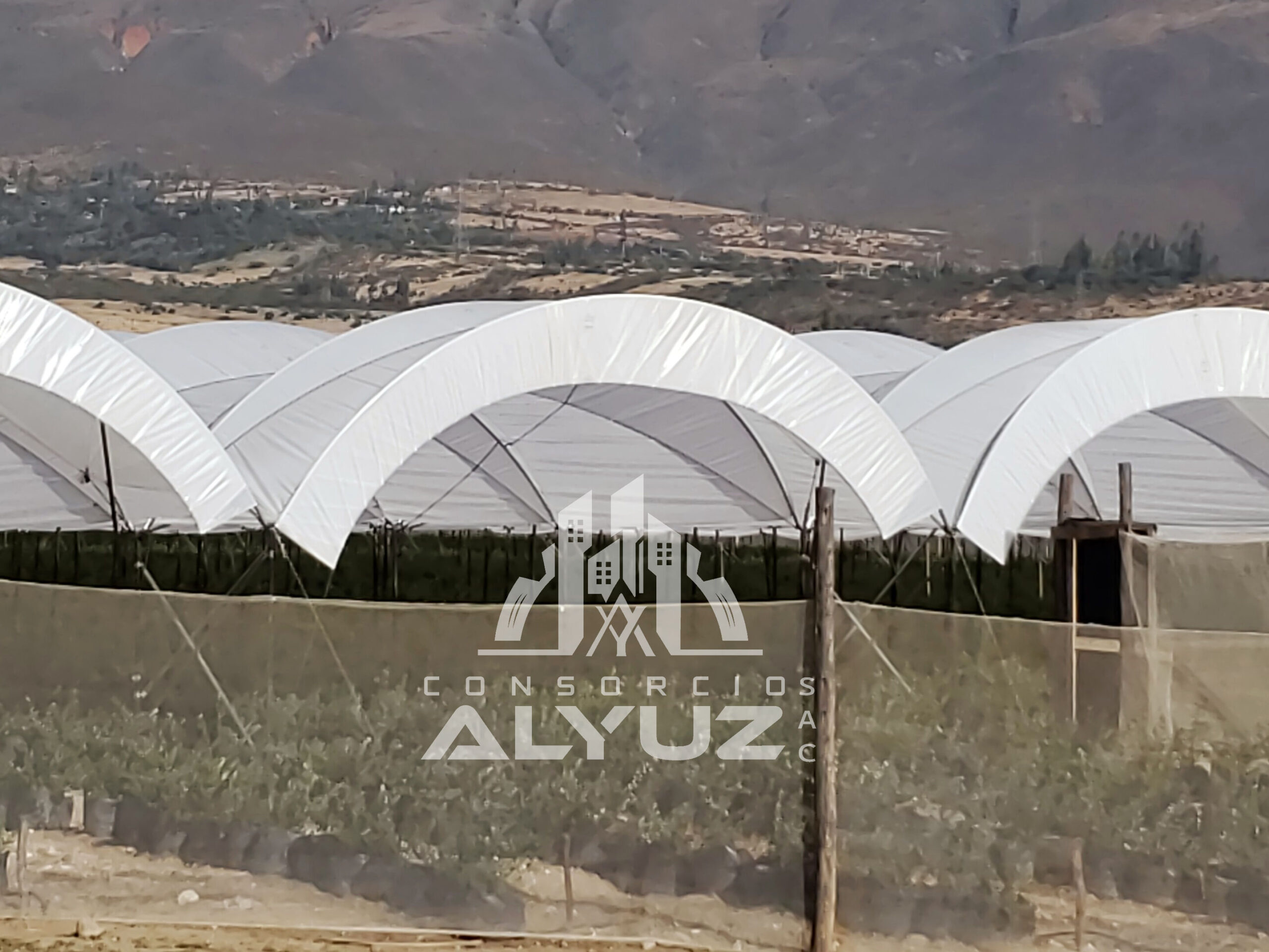 SECADOR SOLA PARA GRANOS DE MANTA DE POLIETILENO